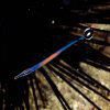 Janss' Pipefish