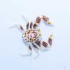 Porcelain Anemone Crab