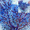 Blueberry tree coral