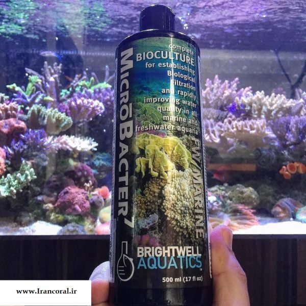 میکرو باکتر 7 Brightwell Aquatics MicroBacter