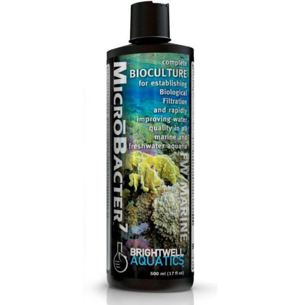 میکرو باکتر 7