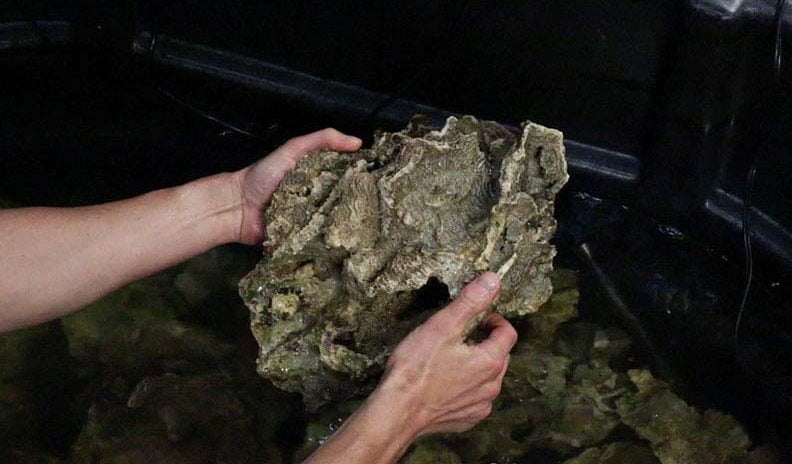 صخره تصفیه نشده