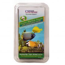 جلبک دریایی سبز غنی شده