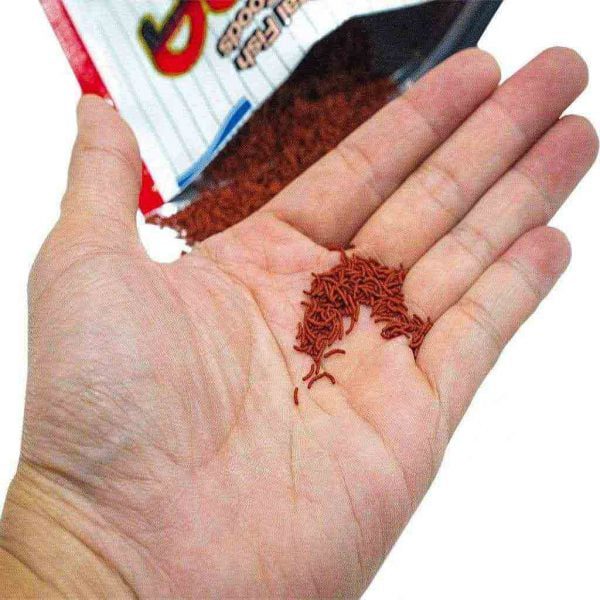 غذای ماهی ویبرا بیتس