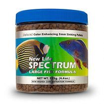 غذای ماهیان بزرگ