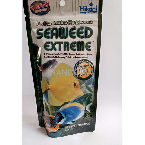 غذای ماهیان دریایی گیاه خوار