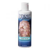 غذای مخصوص مرجان