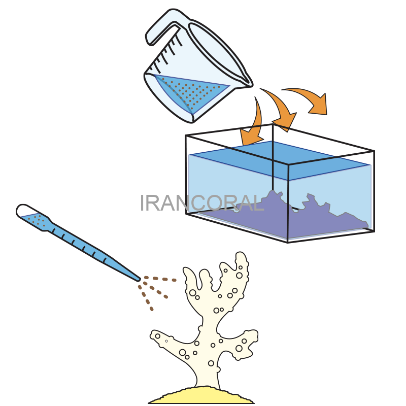 غذای مخصوص مرجان ریف سل