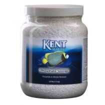 فسفات اسپانج