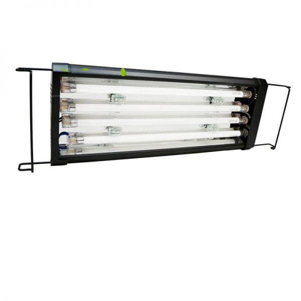 قاب مهتابی تی فایو چهارتایی