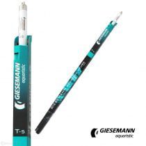 لامپ T5 Aqua Blue Azure