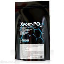 مدیا اکسپورت جذب فسفات