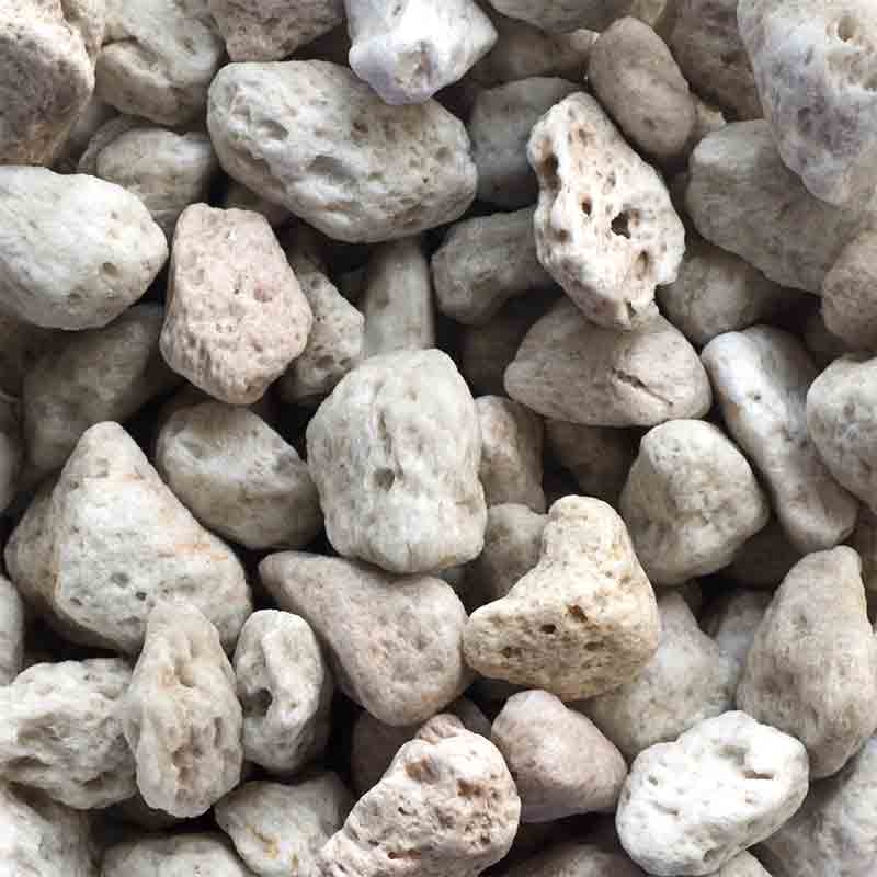 مدیا لایف بیو فیل