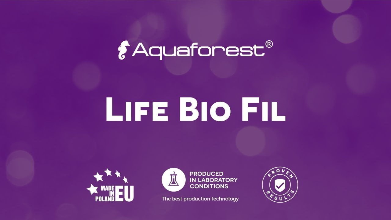 مدیا لایف بیو فیل