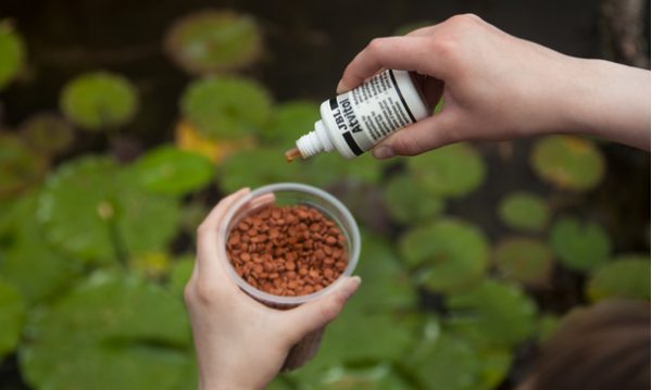 مکمل مولتی ویتامین ماهی اتویتول