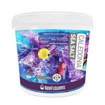 نمک سی سالت کالدونیا