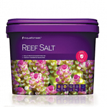 نمک مرجان ریف سالت