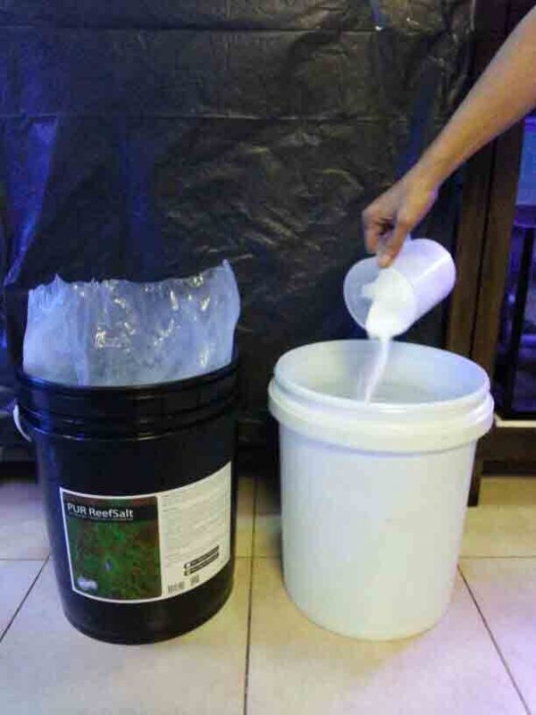 نمک مرجانی ریف سالت اسکیمز