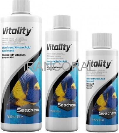 ویتالیتی سیچم