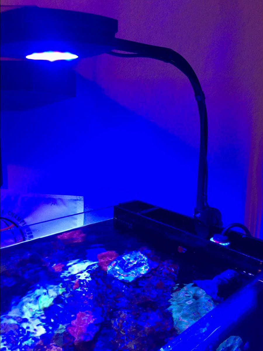 پایه بازویی انعطاف پذیر نور پرایم AI