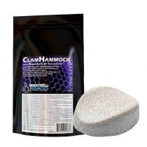 پایه صدف دوکفه ای