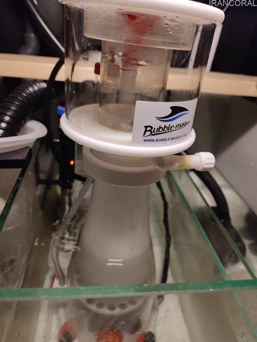 پروتئین اسکیمر C 3.5