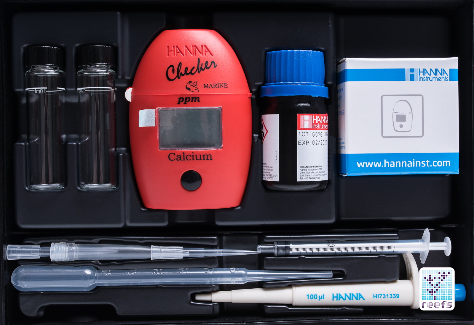 چکر کلسیم آکواریوم آب شور