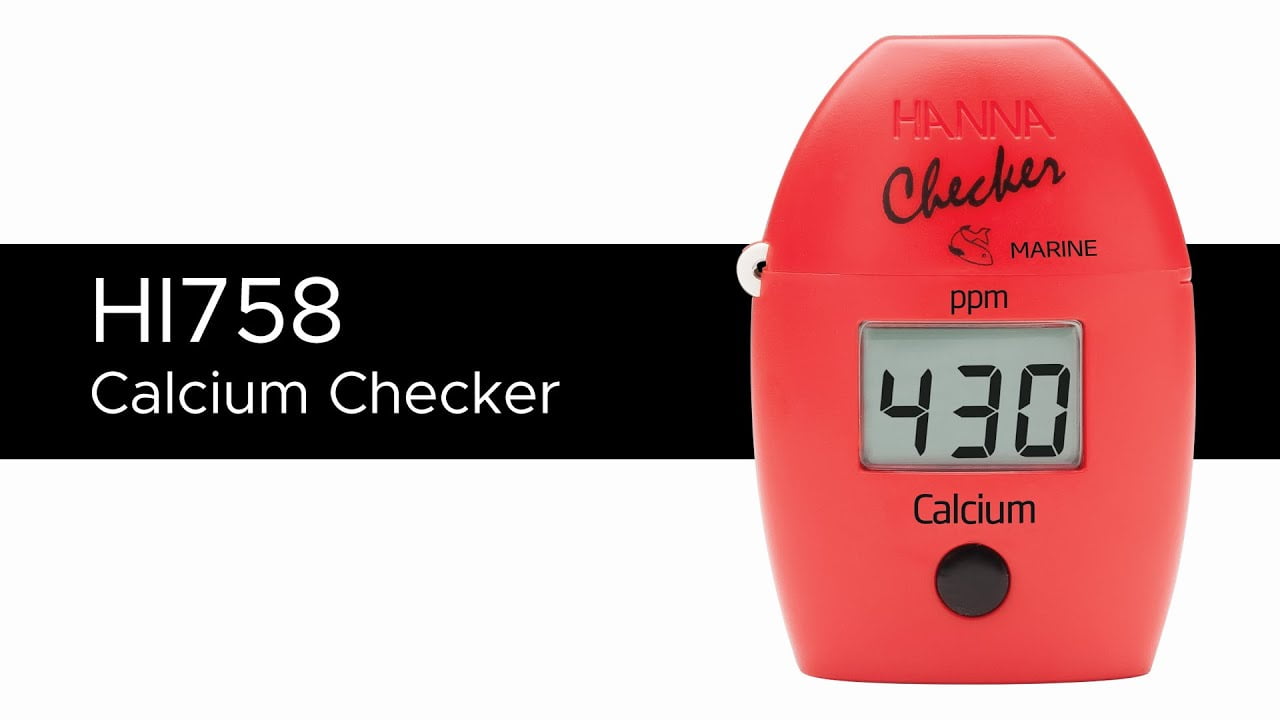 چکر کلسیم آکواریوم آب شور