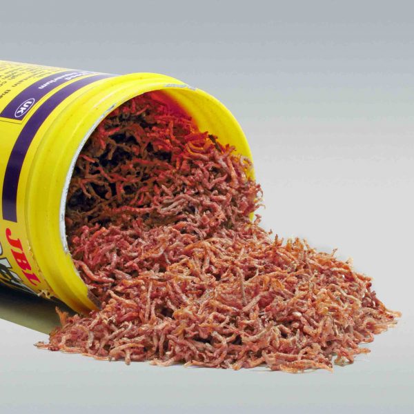 کرم خونی خشک شده نووفیل