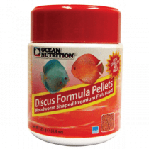 کرم خونی گرانولی دیسکس