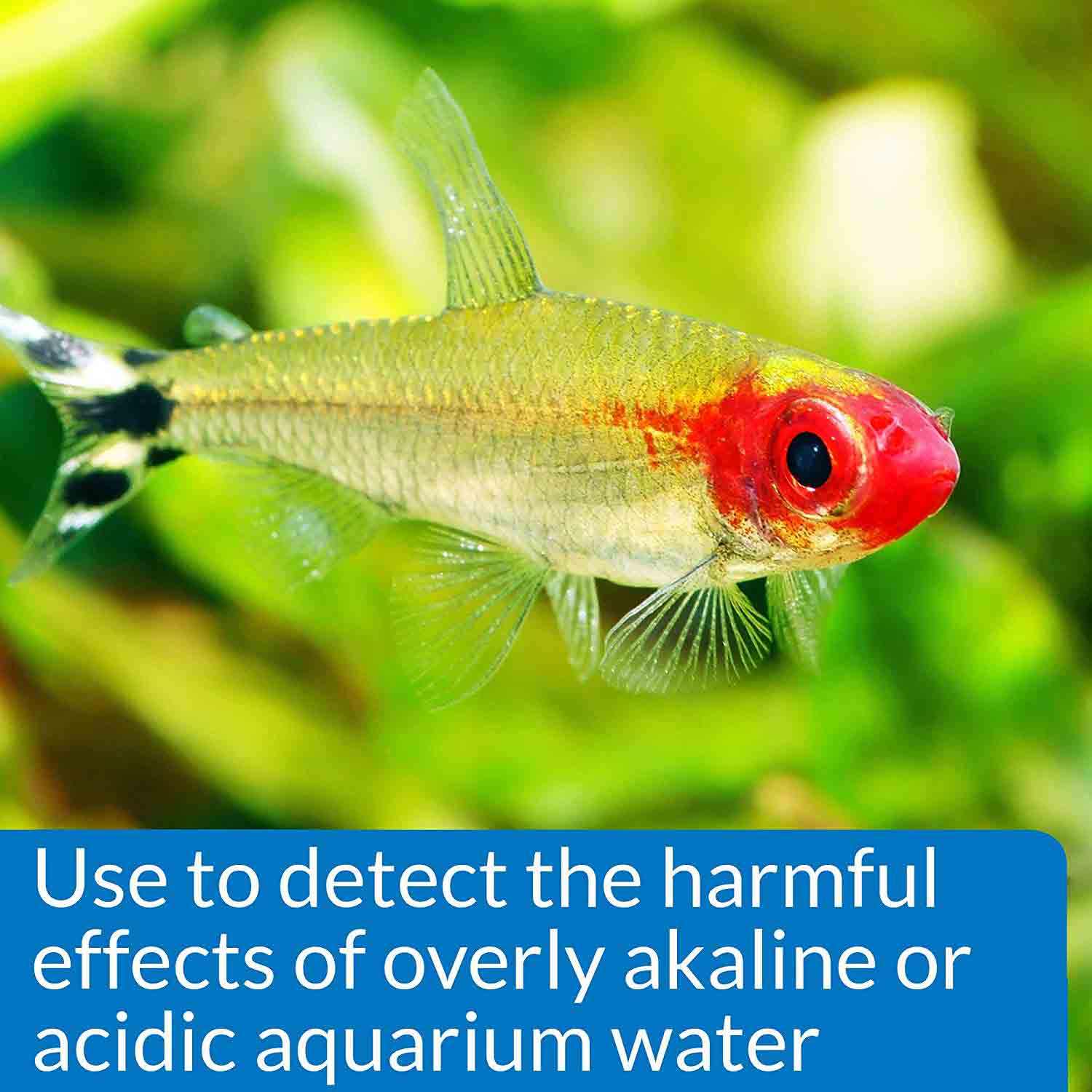 کیت تست pH در دامنه بالا