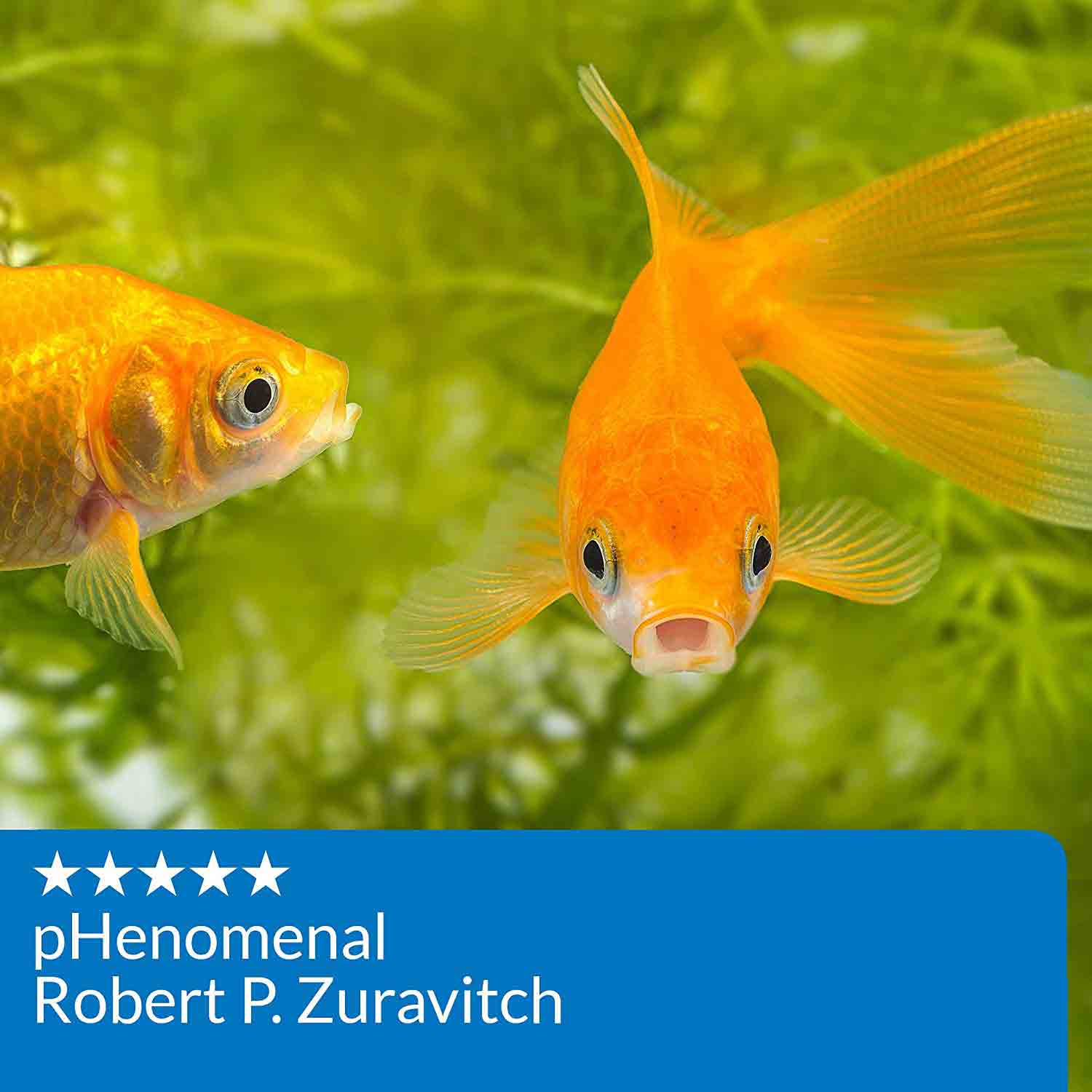 کیت تست pH در دامنه بالا