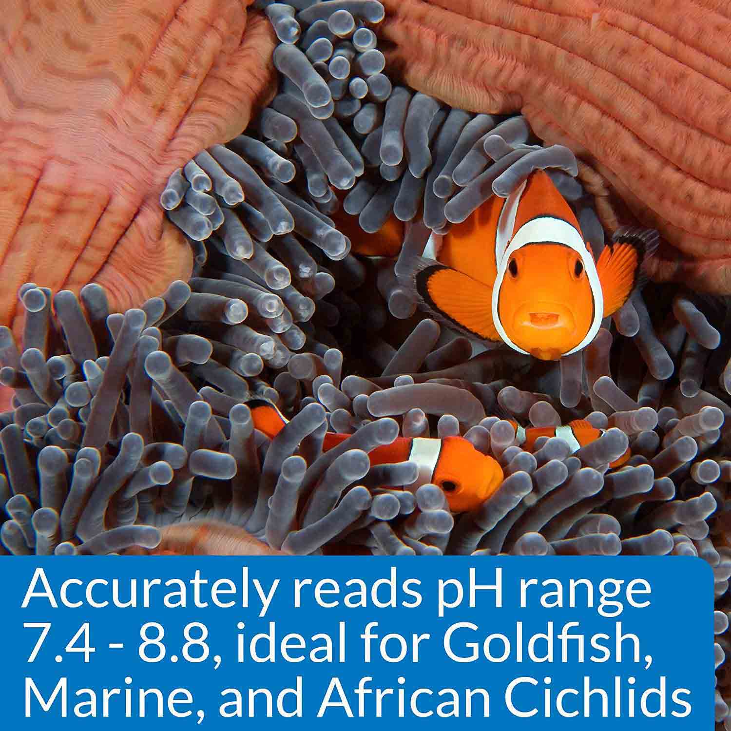 کیت تست pH در دامنه بالا