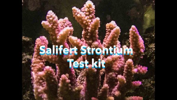 کیت تست استرانسیم سالیفرت salifert Strontium Test