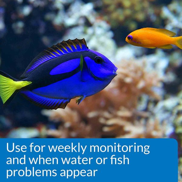 کیت تست آکواریوم های آب شور API Saltwater Master Test Kit