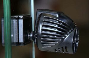 Rossmont تعطیل شد