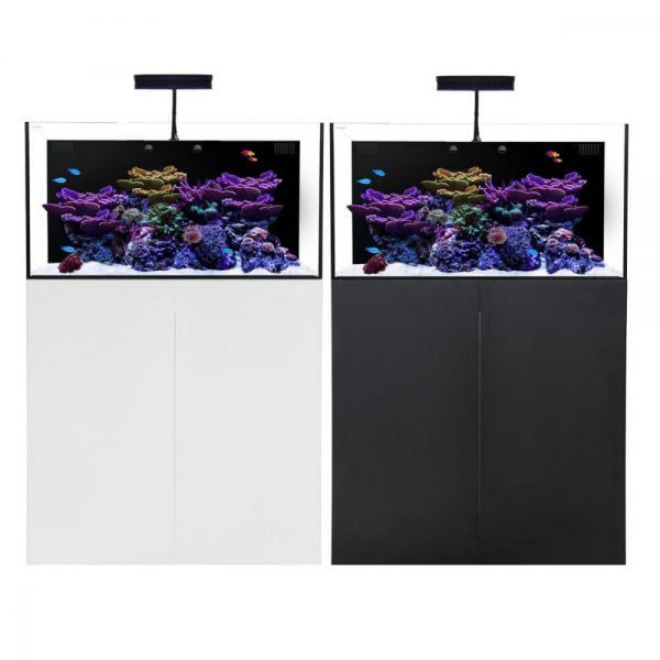 آکواریوم کورال 90