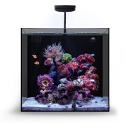 امروزه آکواریوم ها یکی از زیباترین و زنده ترین اجزای یک دکوراسیون کلی خاص و حرفه ای هستند که در طراحی دکوراسیون داخلی منازل، مراکز تجاری و حتی شرکت ها مورد توجه قرار گرفته اند. همچنین آکواریوم ها مرزی میان دنیای ما و دنیای دیگری است که آدمی را وادار به تحسین می کند. این امر ثابت شده است که توجه به این موارد در منزل یا محل کار، باعث آرامش و دلنشین شدن فضا شده و حس مثبتی به افراد منتقل می کند. طراحی و اجرای آکواریوم های حرفه ای امری تخصصی است و باید توسط کارشناسان و متخصصین امر صورت گیرد. تیم حرفه ای ایران کورال با بهره مندی از بهترین کارشناسان و متخصصین این صنعت و استفاده از بهترین تجهیزات و برند های دنیا، به صورت تخصصی در زمینه طراحی، نصب و اجرای آکواریوم های حرفه ای آب شور و…. فعالیت دارد و توانسته است با افتخار رضایت مشتریان خود را جلب نماید. آکواریوم کورال نانو : آکواریوم کورال نانو از مجموعه ایران کورال Irancoral به گونه ای طراحی شده است که بتوان بدون کمترین دردسر و سختی خاصی، انواع آبزیان دریایی زیبا، مانند: ماهیان دریایی و مرجان ها را به راحتی نگهداری کرد و از داشتن یک اکوسیستم دریایی پویا لذت برد. این آکواریوم با گنجایش 70 لیتر می تواند گزینه بسیار مناسبی برای افراد مبتدی و یا حرفه ای باشد .  * بسیار ایده آل برای افراد مبتدی و حرفه ای ها * ظاهری بسیار مدرن و چشم نواز * آکواریوم بدون هرگونه فریم خارجی (Rimless)  * قابل سفارش در دو رنگ سفید و سیاه * دارای کابینت پایه بسیار جذاب * کابینت ضد آب و مقاوم در برابر خوردگی * دارای فیلتراسیون سامپ پشت با قابلیت دسترسی عالی * طراحی و ساخته شده توسط کمپانی ایران کورال  فیلتراسیون کامل  فیلتراسیون آکواریوم های سری کورال نانو به طوری طراحی شده است که بتواند بیشترین بهره وری را ارائه دهد . این آکواریوم قابلیت استفاده برای آکواریوم های آب شور و آب شیرین را دارد و می توان به خوبی بهره برد. سیستم منحصر به فرد این آکواریوم باعث می شود که آب از طریق مجرای ورودی، از پد یا فیلتر ساکس عبور کرده و سپس به چندین نوع خانه برای انواع مدیاهای قرار داده شده، منتقل می شود و سپس به وسیله واتر پمپ با شدت جریان مناسب به آکواریوم باز می گردد.  توجه : آکواریوم های سری کورال تولید شده توسط این مجموعه به صورت سفارش ساخت می باشند و پس از خرید نهایی، اقدام به ساخت آنها می شود که در این روش، قابلیت سفارش دهی خاصی طبق نظر کاربر وجود دارد .