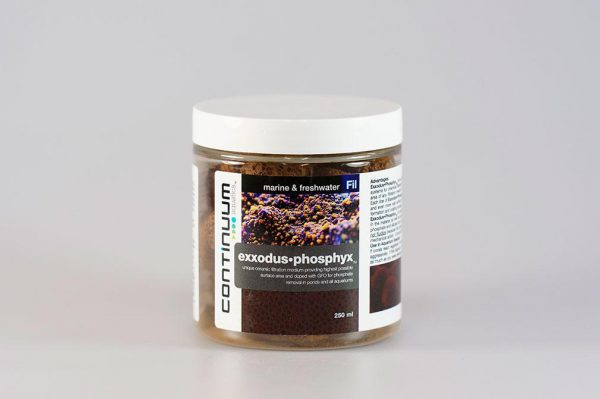 اگزودوس فسفیکس