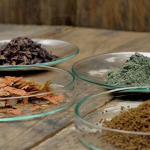 7 نکته طلایی در تغذیه ماهیان دریایی