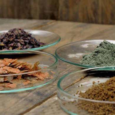 7 نکته طلایی در تغذیه ماهیان دریایی