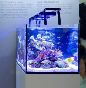 انواع آکواریوم آب شور