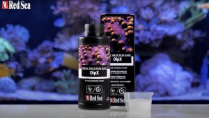 سی محلول حمام مرجان دیپ ایکس DipX را معرفی کرد