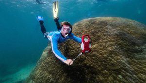 بزرگ ترین مرجان پورایتز دنیا کشف شد