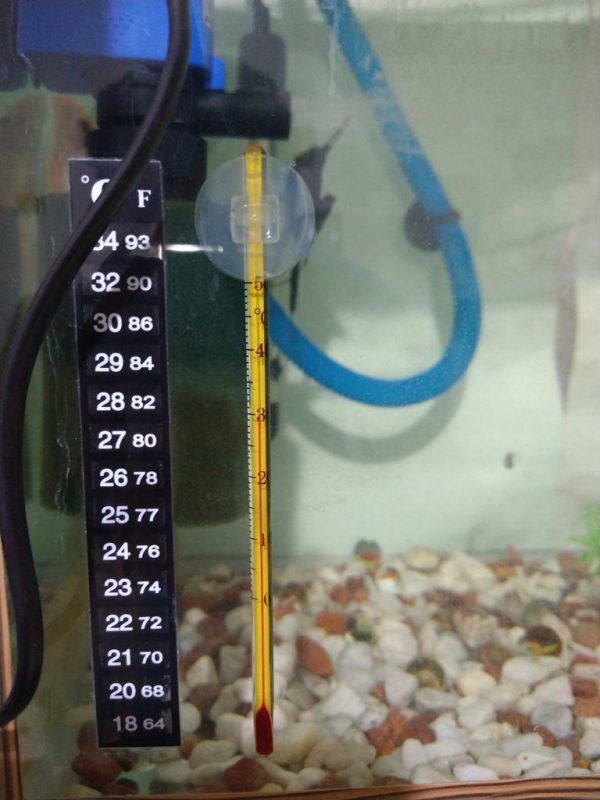 دماسنج جیوه ای آکواریوم