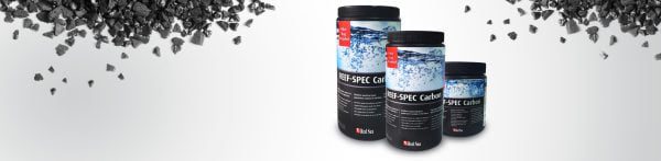 زغال اکتیو ردسی