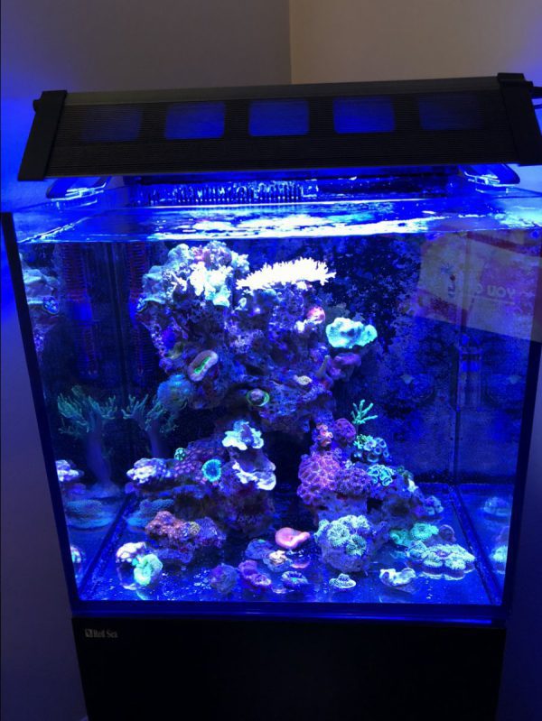 نور ریکرو 60 مکث اسپکت