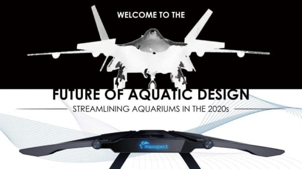 نور ریکرو 60 مکث اسپکت