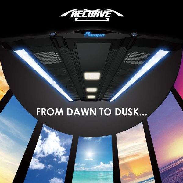 نور ریکرو 60 مکث اسپکت