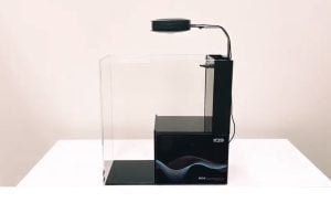 آکواریوم آب شور نانو جدید دایمکس همراه با تجهیزات کامل